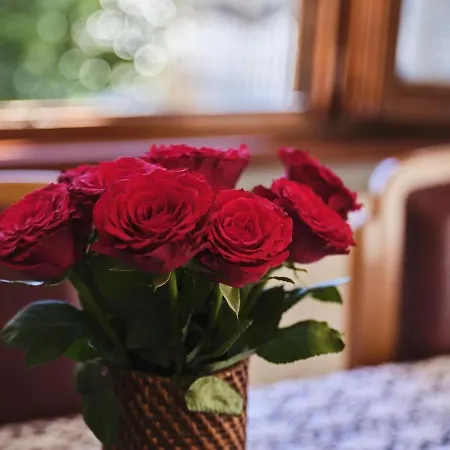 Appartamento Casa Gianchi, A Full Immersion In Nature